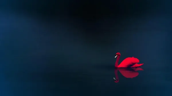  عکس قوهاي عاشق