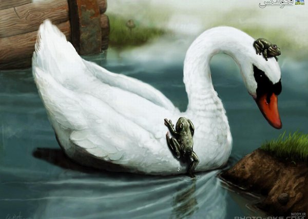 عکس قو فانتزی