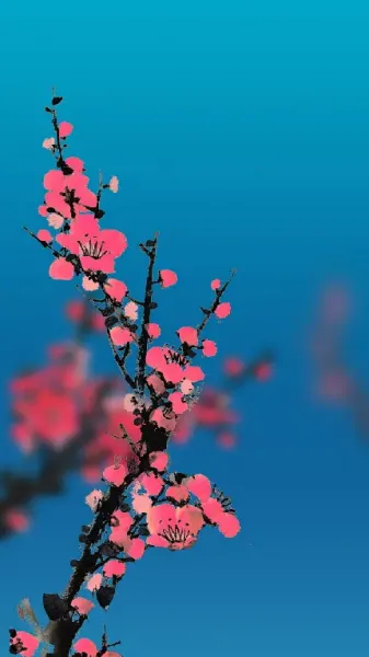  عکس گل و شکوفه سفید و صورتی