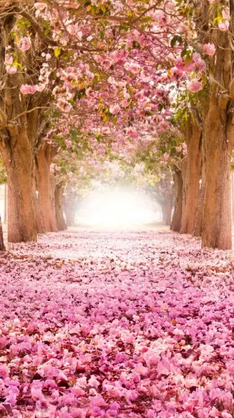  پس زمینه بهاری برای نوشتن متن