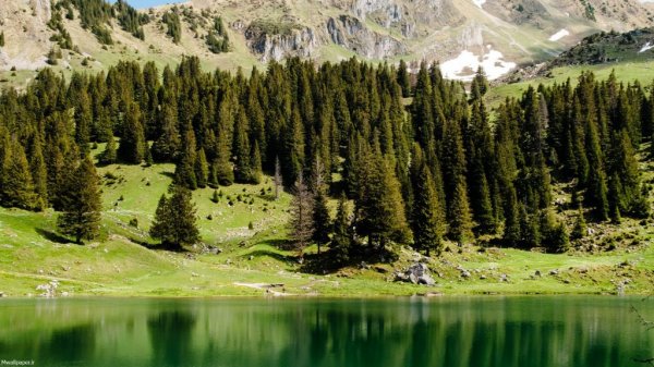  تصویر زمینه طبیعت بهاری