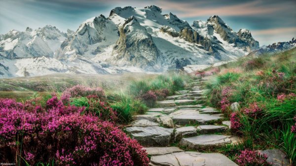  تصویر زمینه طبیعت بهاری