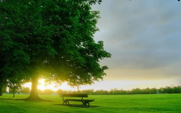  عکس قشنگ طبیعت بهاری برای پس زمینه