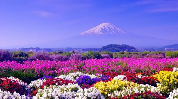  عکس قشنگ طبیعت بهاری برای پس زمینه