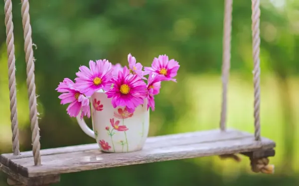  عکس قشنگ طبیعت بهاری برای پس زمینه