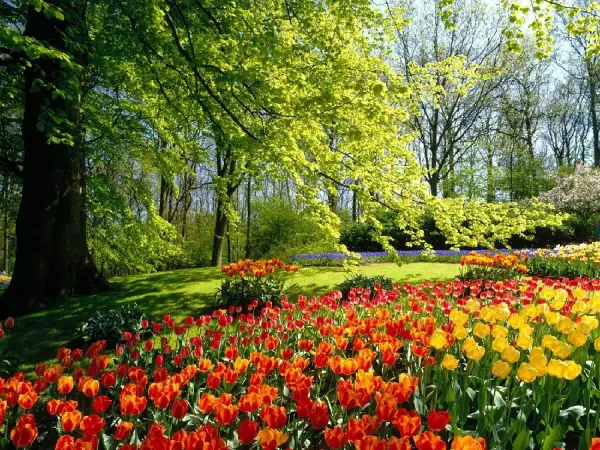  عکس قشنگ طبیعت بهاری برای پس زمینه