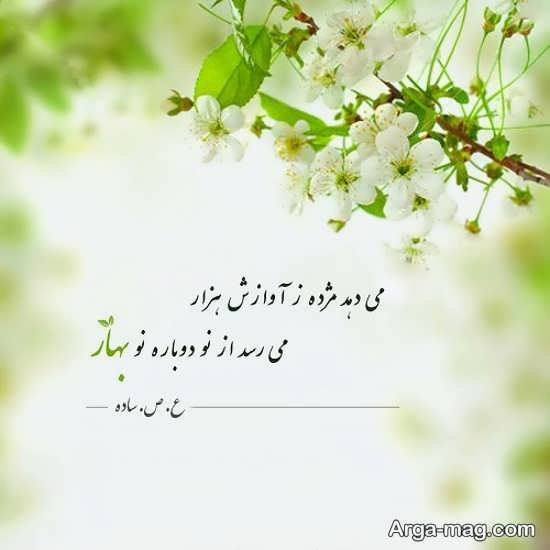  عکس پروفایل واتساپ بهاری دخترانه