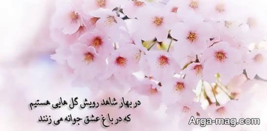  عکس پروفایل واتساپ بهاری دخترانه