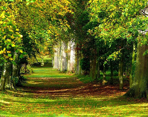  مناظر زیبای بهاری