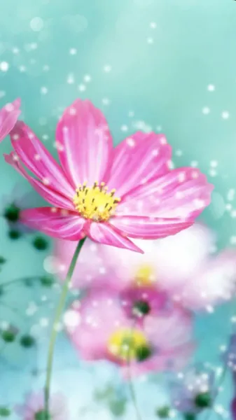 عکس گل بهاری برای پروفایل