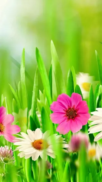  عکس گل بهاری برای پروفایل