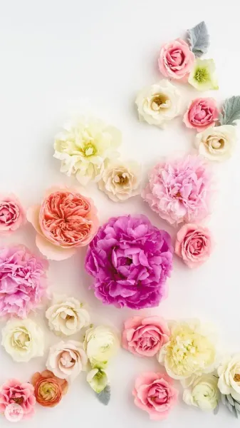  عکس گل بهاری برای پروفایل