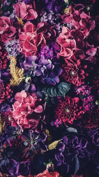  عکس گل بهاری برای پروفایل