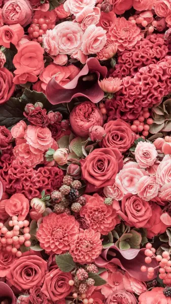  عکس گل بهاری برای پروفایل