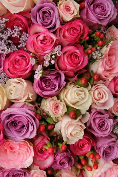  عکس گل بهاری برای پروفایل