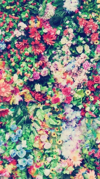 عکس گل برای تصویر زمینه گوشی شیائومی