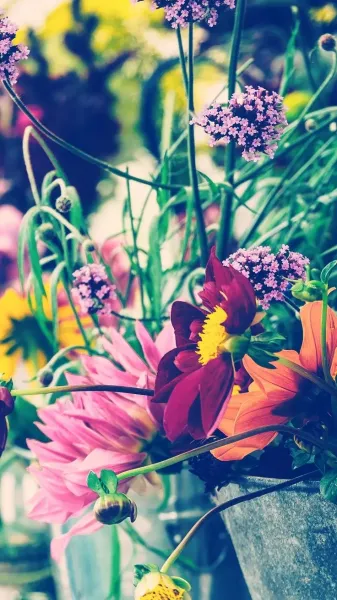  عکس گل برای تصویر زمینه گوشی شیائومی