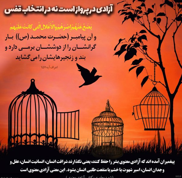عکس پرنده در حال پرواز از قفس