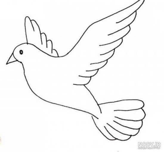 عکس پرنده در حال پرواز نقاشی