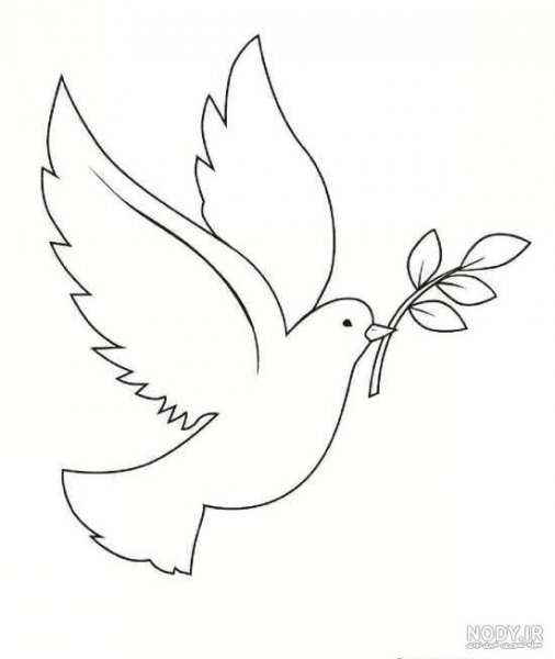  عکس پرنده در حال پرواز نقاشی