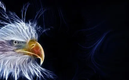  عکس عقاب زیبا