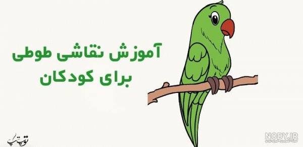  عکس طوطی نقاشی