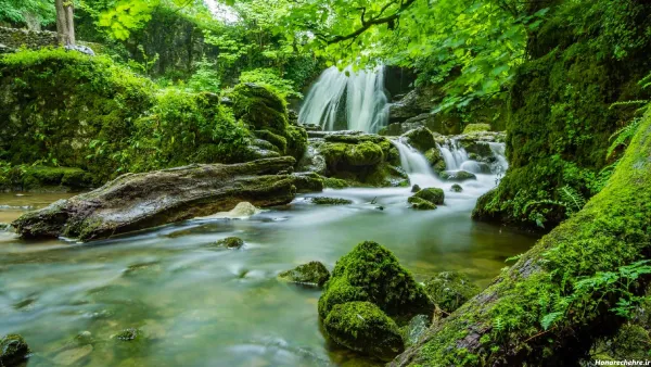  عکس آرامش‌بخش و پرانرژی