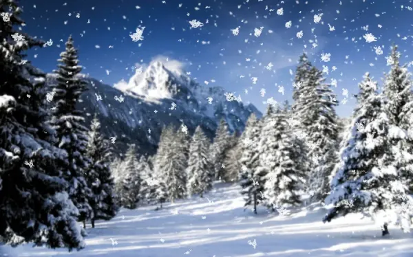  عکس آرامش بخش زمستانی