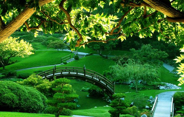  عکس تابستانی طبیعت