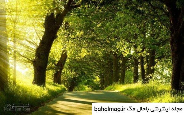  عکس طبیعت تابستانی برای پروفایل
