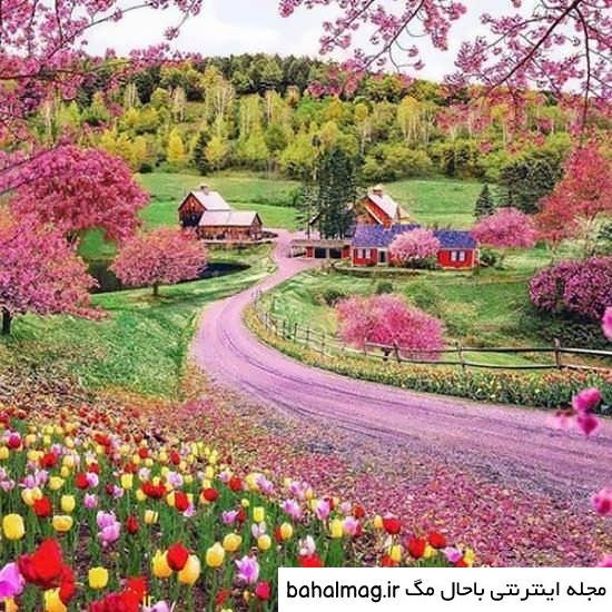  عکس طبیعت تابستانی برای پروفایل