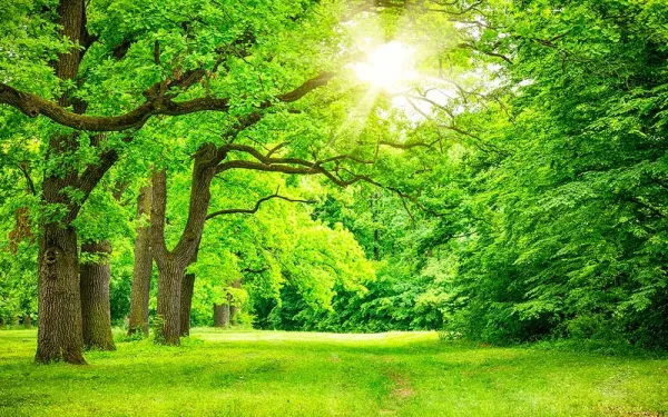 عکس تابستان واقعی