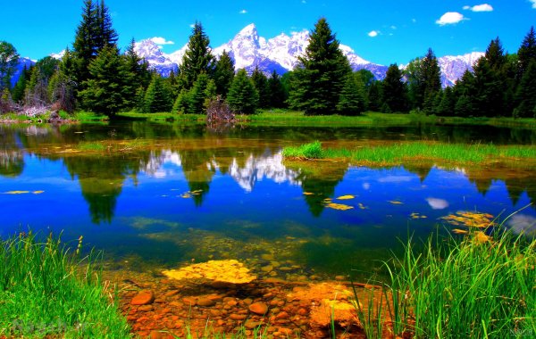  عکس تابستان واقعی