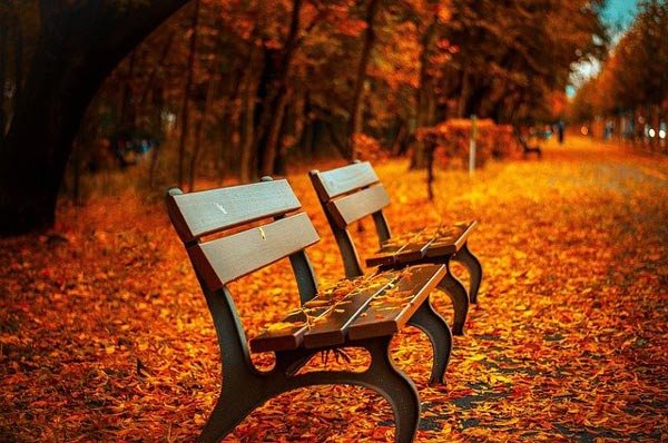  تصاویر طبیعت پاییزی زیبا
