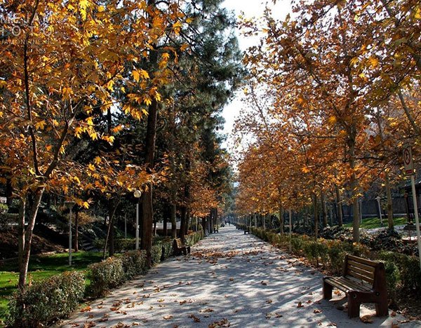 تصاویر طبیعت پاییزی زیبا