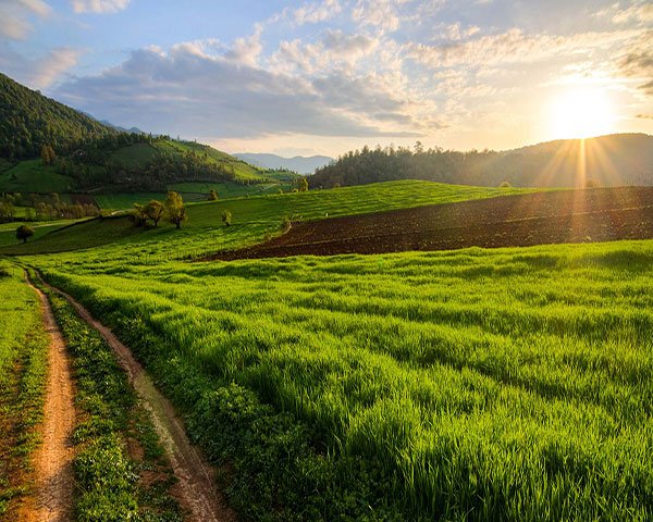  عکس از مناظر زیبا برای پروفایل