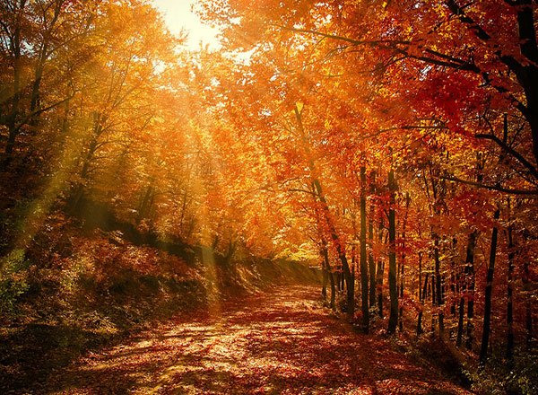  عکس از مناظر زیبا برای پروفایل