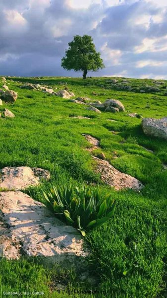  عکس منظره زیبا برای پروفایل