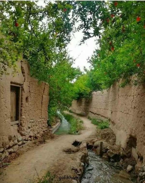  عکس منظره زیبا برای پروفایل