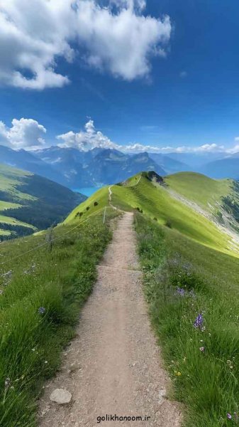  عکس منظره زیبا برای پروفایل