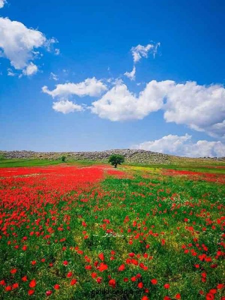  عکس منظره زیبا برای پروفایل