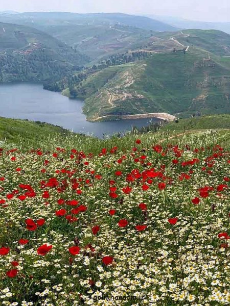  عکس منظره زیبا برای پروفایل