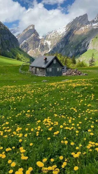  عکس منظره زیبا برای پروفایل