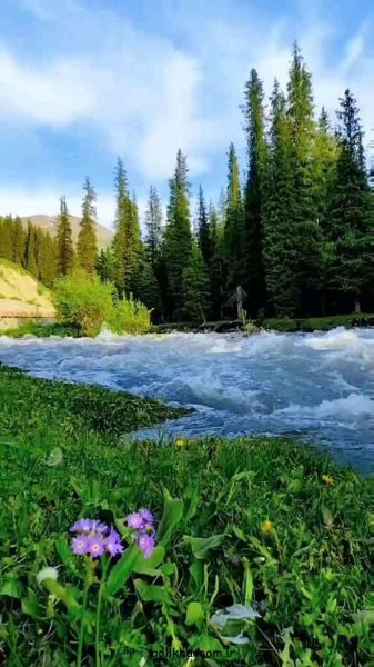  عکس منظره زیبا برای پروفایل