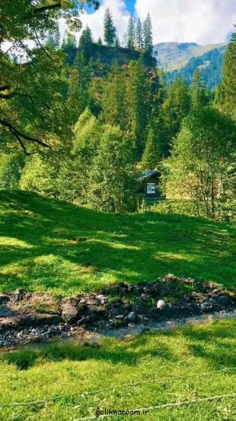  عکس منظره زیبا برای پروفایل