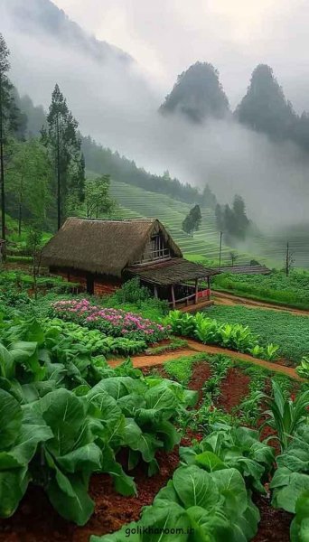  عکس منظره زیبا برای پروفایل