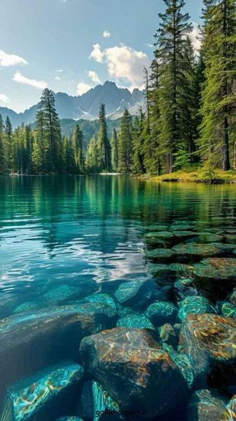  عکس منظره زیبا برای پروفایل