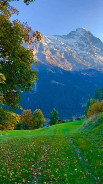  عکس منظره زیبا برای پروفایل