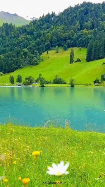  عکس منظره زیبا برای پروفایل