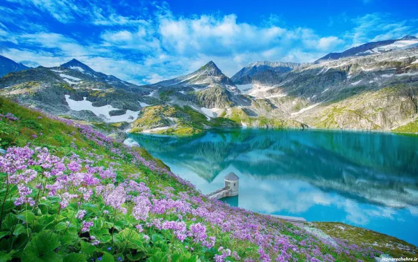  عکس باغ گل زیبا